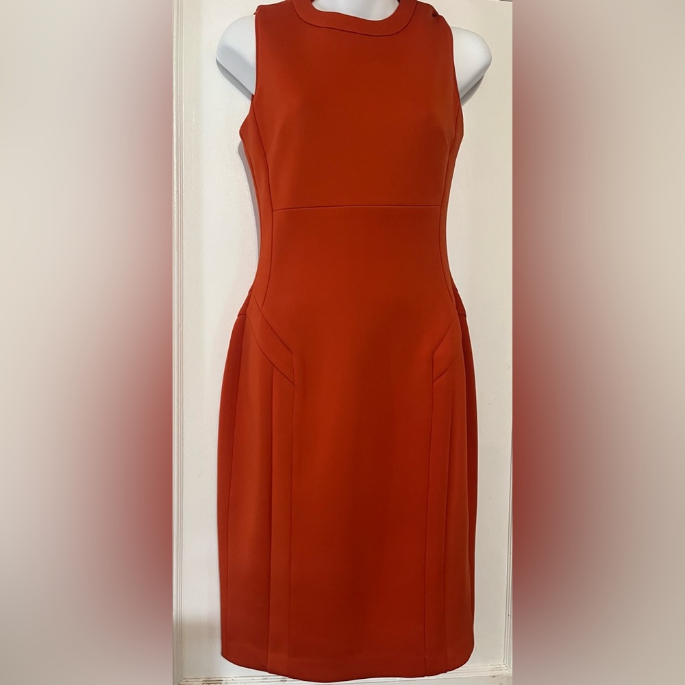 Calvin Klein Rust Midi Dress